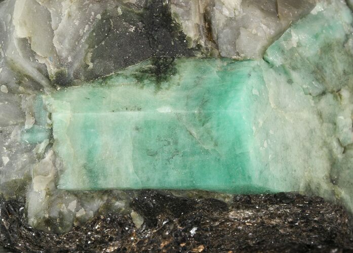Beryl (Var: Emerald) Crystal in Schist & Biotite - Bahia, Brazil #44126